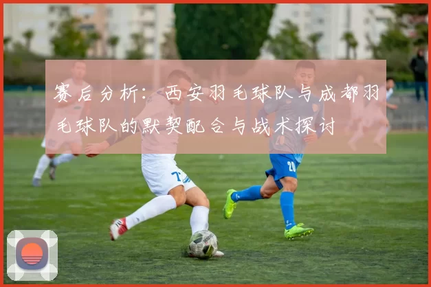 赛后分析：西安羽毛球队与成都羽毛球队的默契配合与战术探讨