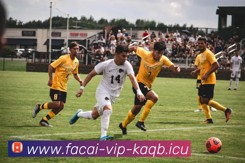 数据防护可视化